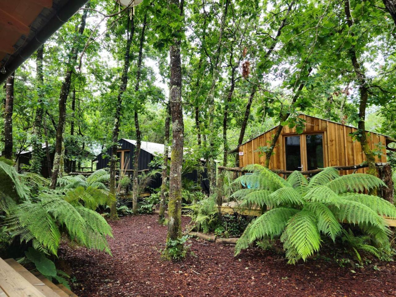 Camping Aux Couleurs Du Ferret Lège-Cap-Ferret エクステリア 写真