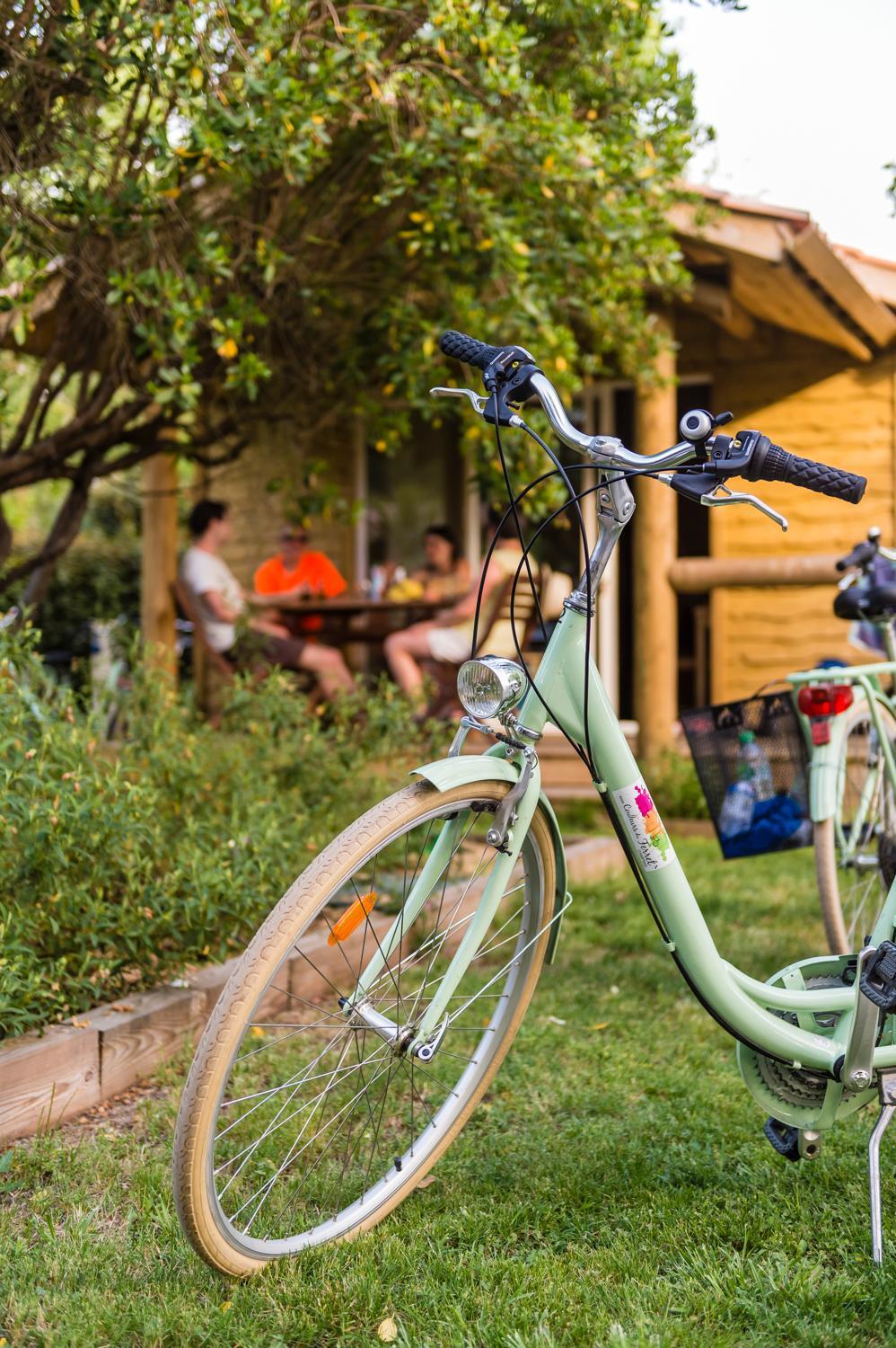 Camping Aux Couleurs Du Ferret Lège-Cap-Ferret エクステリア 写真